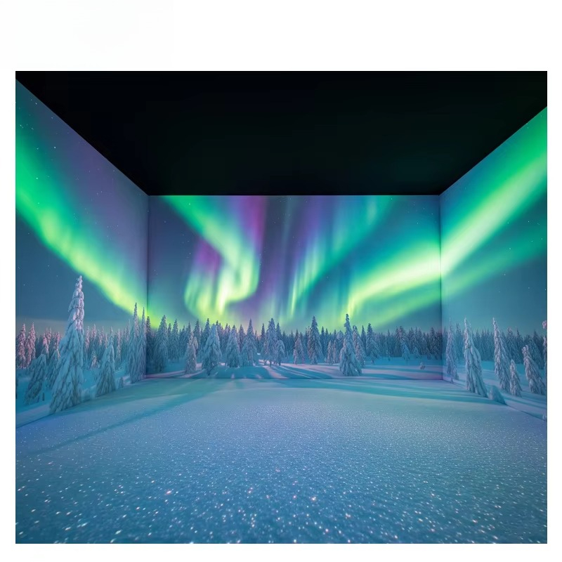 OEM&ODM Immersive Projector La - огляд і ціна Gymnastics Beam Floor