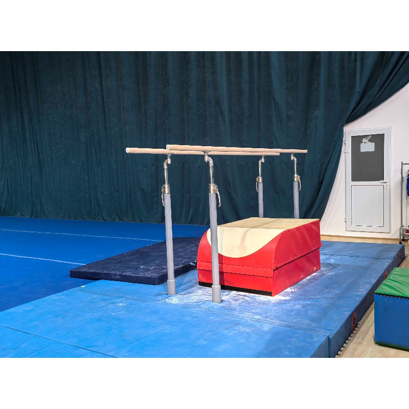 Professional gymnastics equipm - огляд і ціна Gymnastics Beam Floor